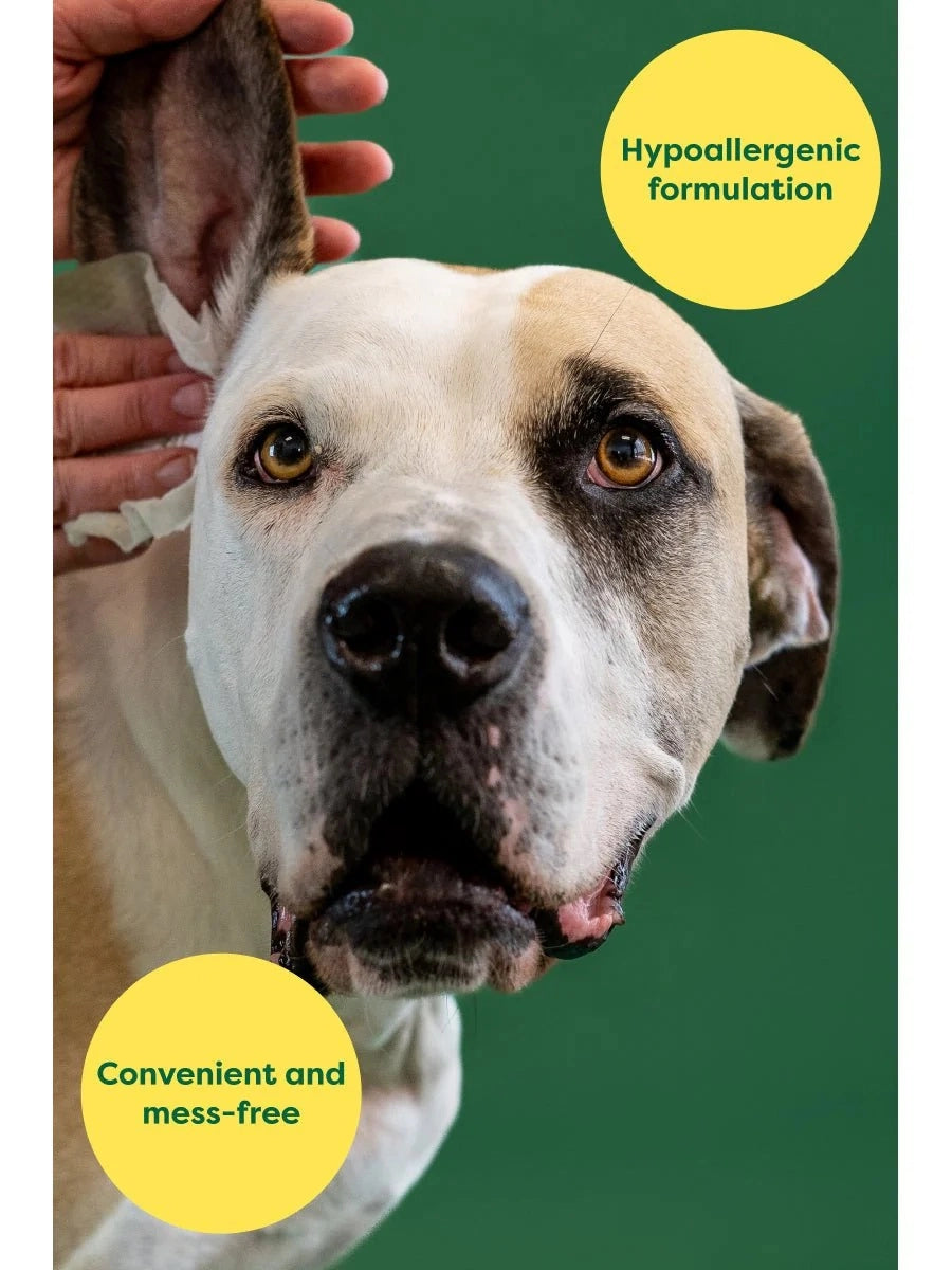 Earth Rated Dog Ear Cleansing Wipes 60ct (Wild Oat Scent)