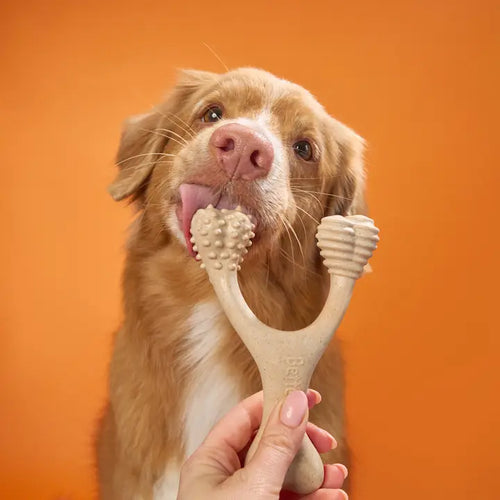 Betterbone Chew Toy - HARD
