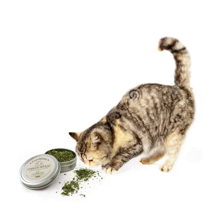 Friendsheep Organic Catnip