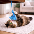 Cat String Toy