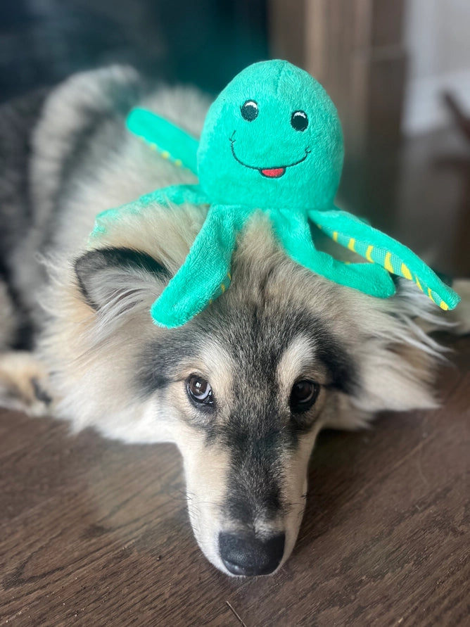 Clean Earth recycled plush toys - 100% sustainable (Large)